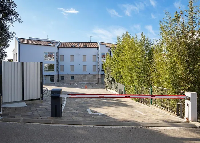 Damjan * 프예스차나 우발라